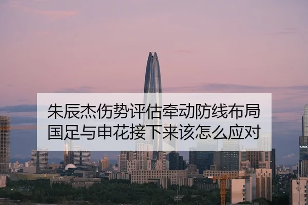朱辰杰伤势评估牵动防线布局 国足与申花接下来该怎么应对